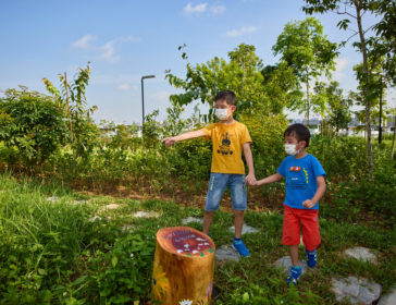 Explore A New Playground At Bukit Gombak Park In Singapore