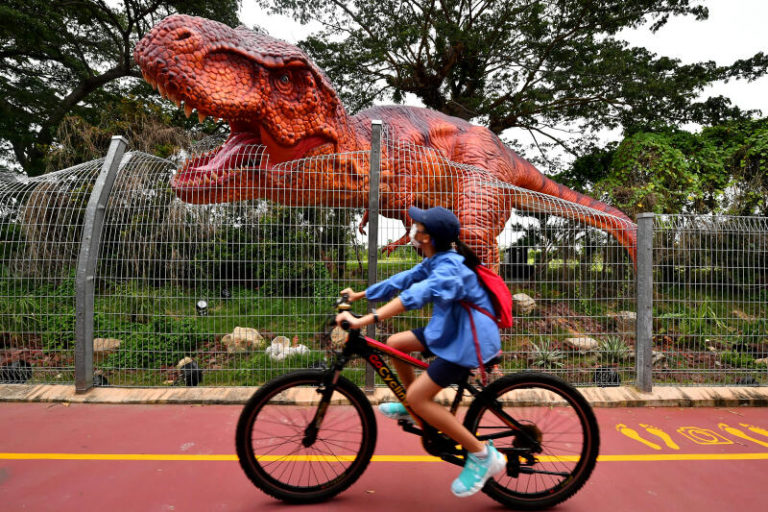 Cycling-Changi-Jurassic-Mile-East-Coast-Singapore