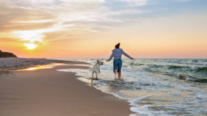 Top 10 Pet And Dog-Friendly Beaches In Hong Kong