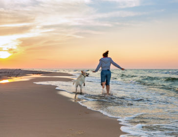 Top 10 Pet And Dog-Friendly Beaches In Hong Kong