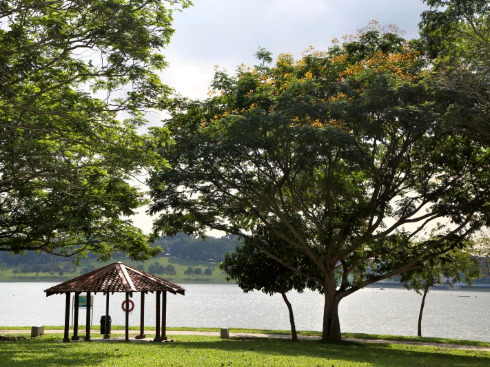 Bedok Reservoir