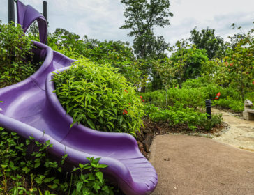 Therapeutic Garden Opens At Jurong Lake Gardens In Singapore