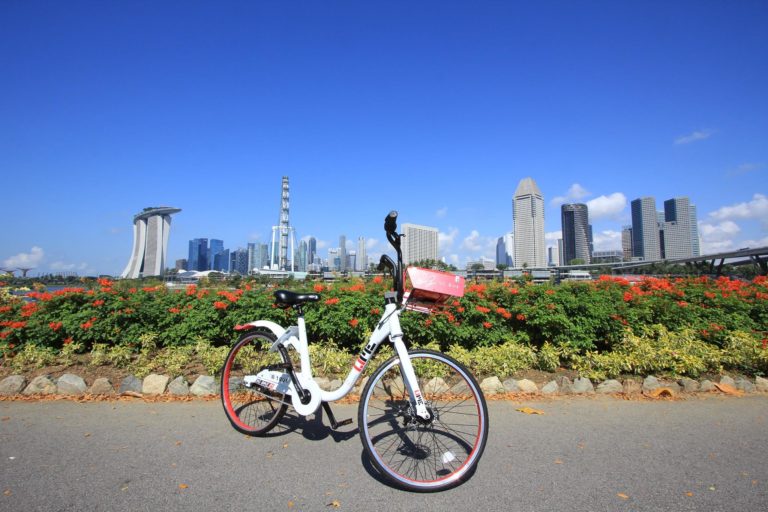 Best Bicycle Rentals For Families In Singapore SG Bike