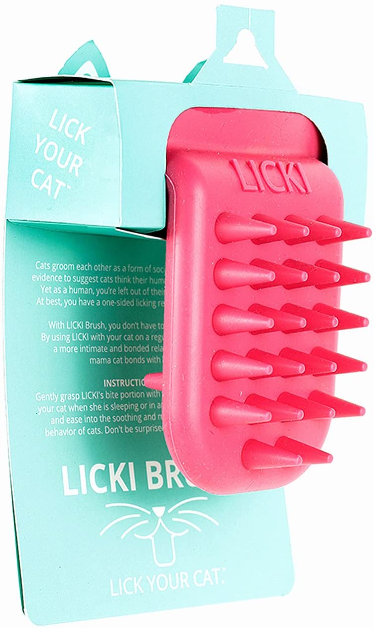 Licki Brush Little Steps Asia