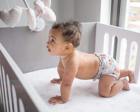 Petit Tippi Little Steps Asia