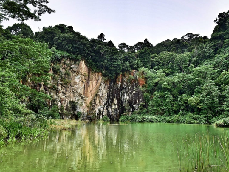 Bukit Timah Nature Reserve