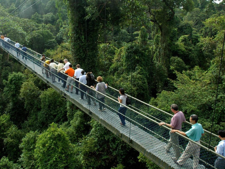 MacRitchie Reservoir