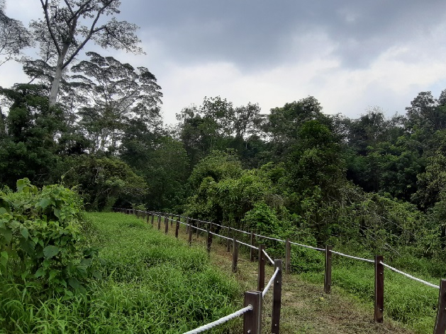 Thomson Nature Park