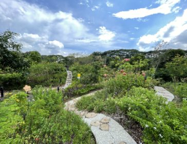 Learn With Nature At The Butterfly Maze In Singapore