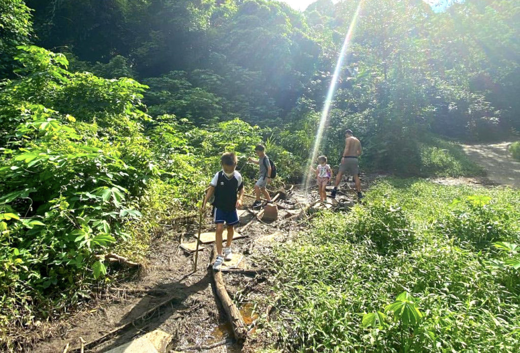 Kid Friendly Hiking Trails In Singapore