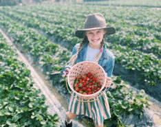 A Visit To Long Ping Strawberry Farm With Kids For A Boutique Farm Experience In Hong Kong