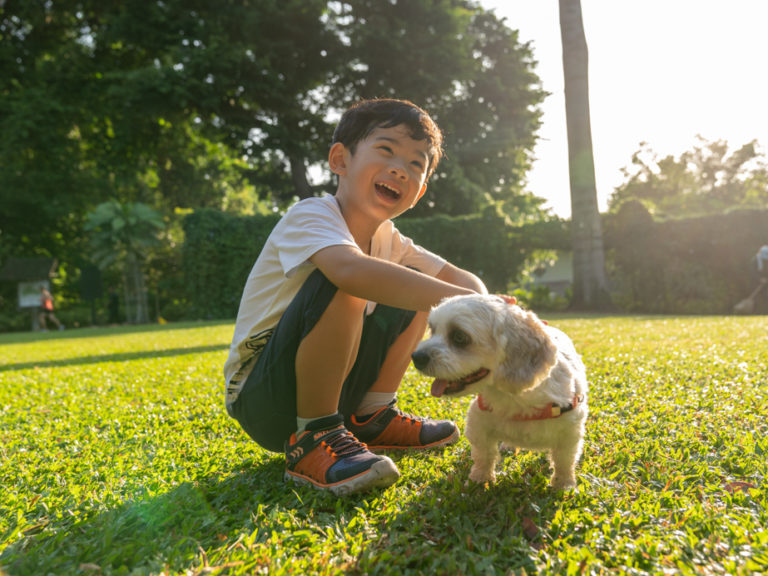 Yishun Park Dog Run