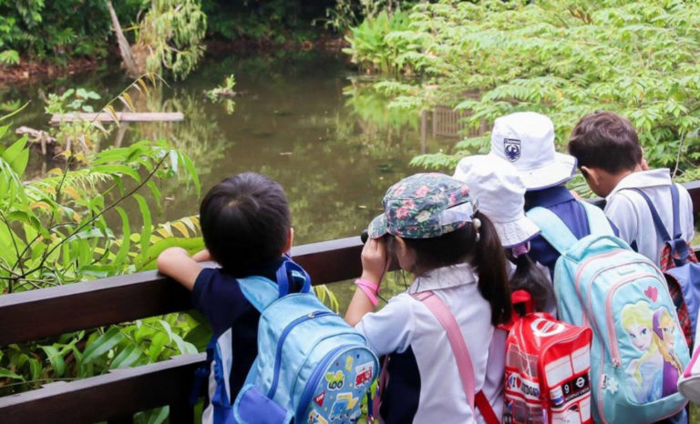 Early Morning Activities And Places For Kids In Singapore Crocodile Spotting Sungei Buloh Wetland Reserve