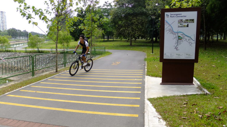 Early Morning Activities And Places For Kids In Singapore Park Connector Network