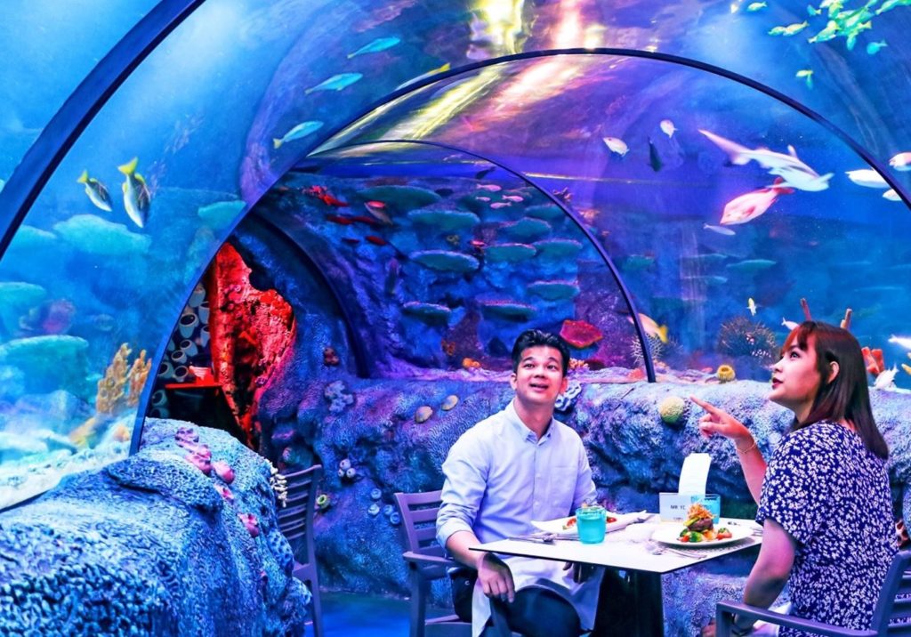 Sea Life Underwater Dining In Malaysia