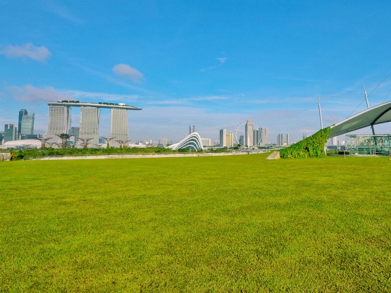 Marina Barrage