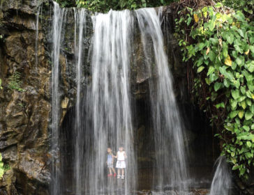 Top 10 Places To See Waterfalls In Singapore