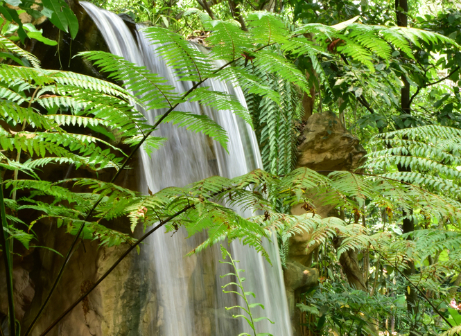 Jacob Ballas Children's Garden Waterfall In Singapore