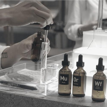 Perfume Or Aromatherapy Blending Workshop Singapore Klook Little Steps Asia