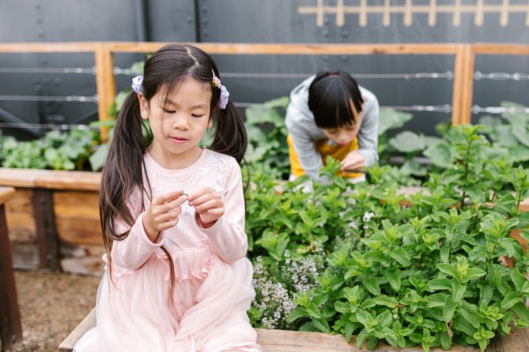 SEN-Centres-Special-Needs-Programs-In-Jakarta