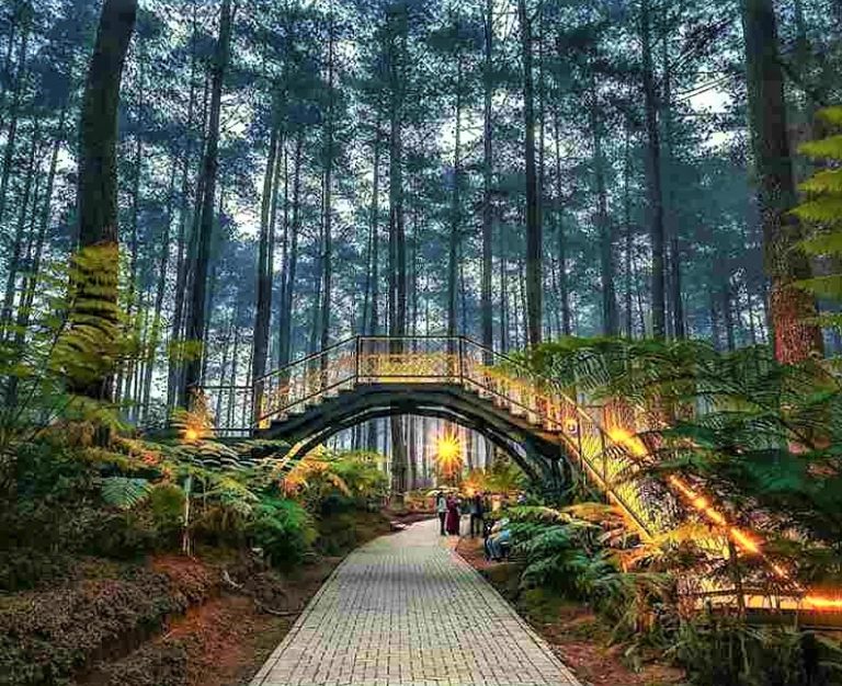 Orchid Forest Cikole Bandung Lembang Things To Do Eid Holiday 2022 Jakarta