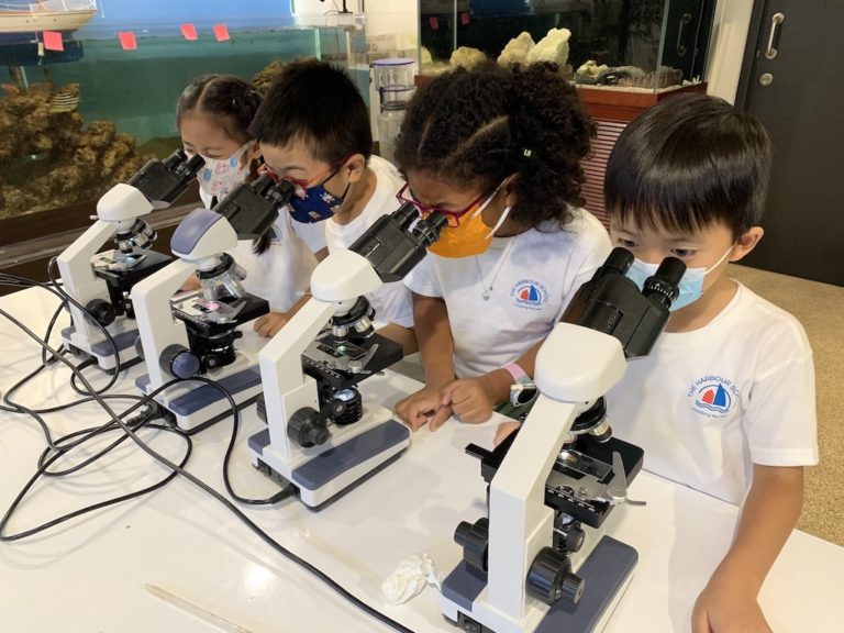 Microscopes Harbour School Hong Kong