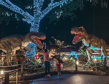 Explore 99 Wonderland Park (Wildlife In The City) In Kuala Lumpur