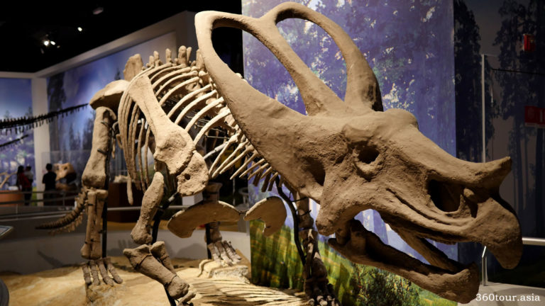 Immersive Playtime At Jurassic Research Center