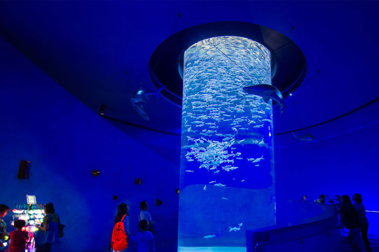 Ocean Park In Hong Kong