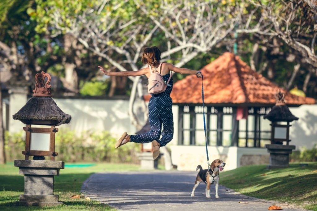 Top 10 Dog And Pet-Friendly Family Activities And Things To Do In Singapore