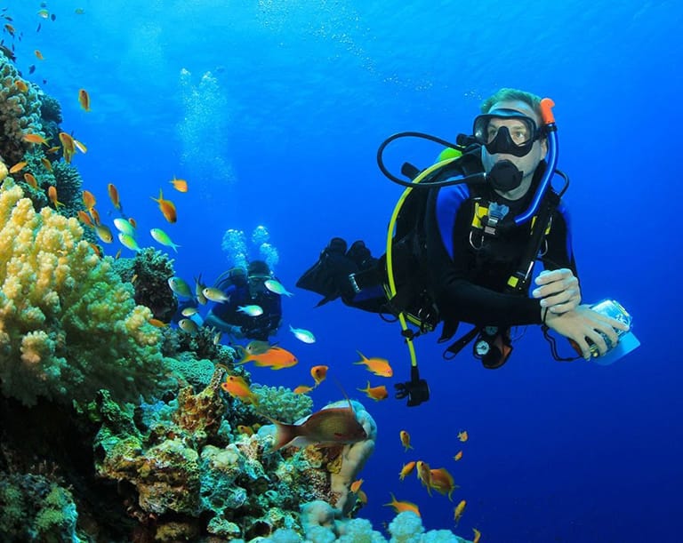 THE DIVER’S DEN