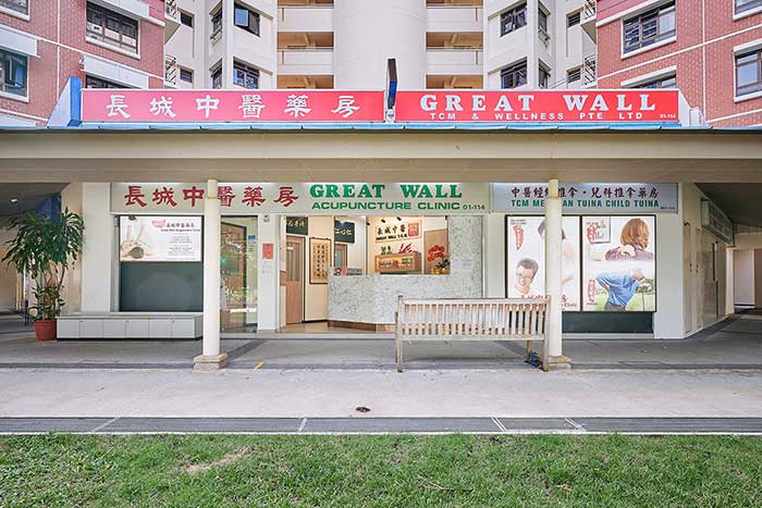 Top Traditional Chinese Medicine Centres For Families_GreatWall