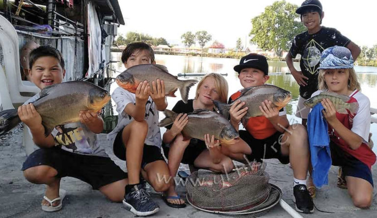 great fishing spots for kids hong kong