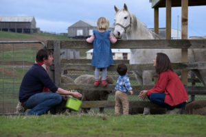 Top Family-Friendly Farm Stays Across Australia